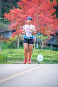 BIB: 8132
                            <button type="button" onclick="openModal(19240835)" class="btn btn-primary btn-sm float-right btn-popup" data-toggle="modal" data-target=".modal-high-quality">
                        <i class="fas fa-shopping-cart"></i> Add to Cart
                    </button>
                                            <button type="button" onclick="isThisMe(19240835, true)" class="btn btn-success btn-sm float-right btn-popup btn-isme hidden" data-toggle="tooltip" data-placement="bottom" title="นี่คือรูปของคุณใช่ไหม คลิกที่นี่เพื่อเอาเข้าอัลบั้ม">
                        <i class="fas fa-plus"></i> Add to album
                    </button>
                    <button type="button" onclick="isThisMe(19240835, false)" class="btn btn-warning btn-sm float-right btn-popup btn-isnotme hidden">
                        <i class="fas fa-ban"></i> Remove from album
                    </button>